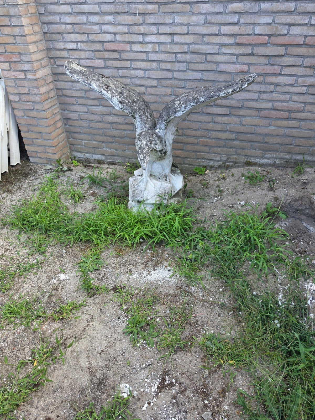 2 grote betonnen adelaars voor in de tuin, Ophalen, Beton
