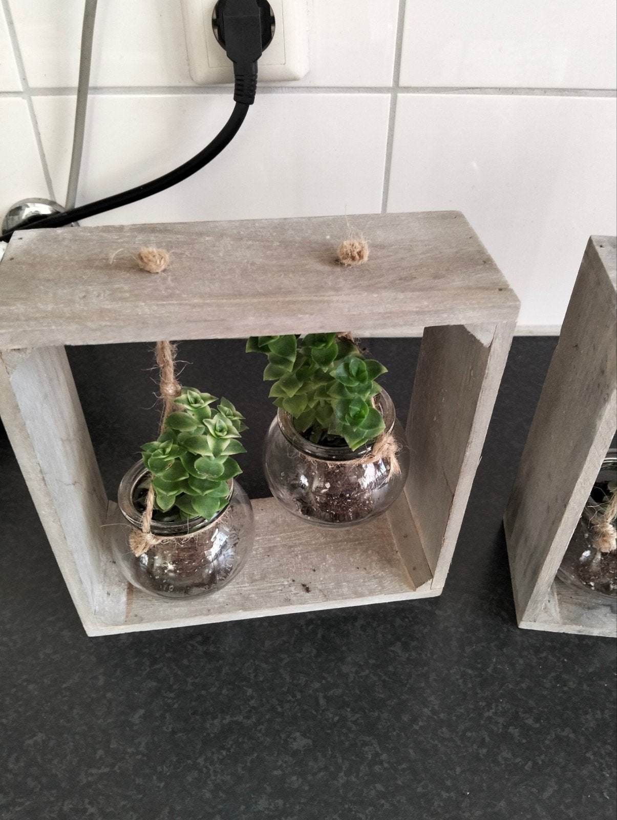 Vetplanten in houten kistje - set van 2, Ophalen
