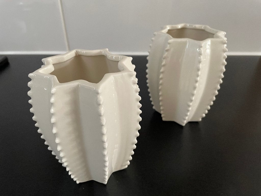Set van 2 Zara Home cactusvormige bloempotten, Ophalen of Verzenden, Zo goed als nieuw, Balkon, Overige vormen