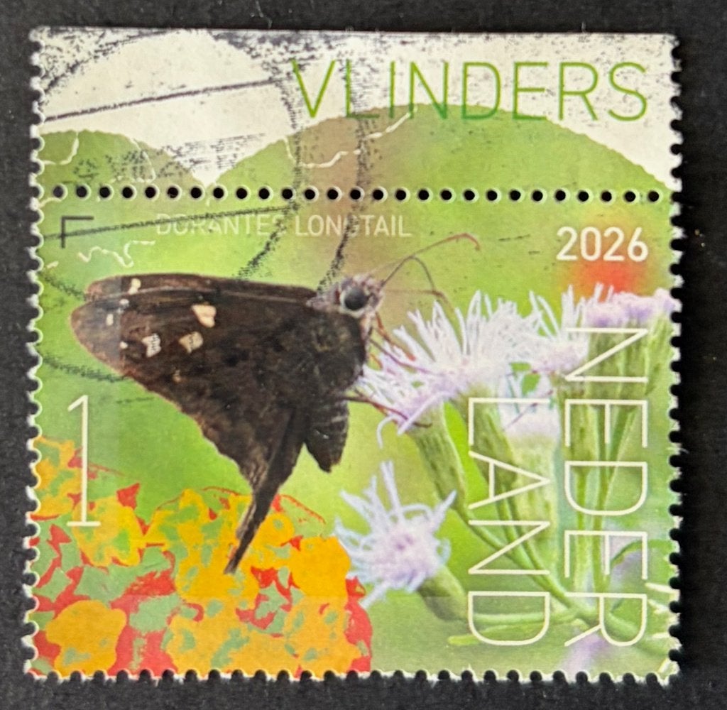 Postzegel Ndl 2026 Saba vlinder Dorante Longtail; tab, Ophalen of Verzenden, Na 1940, Gestempeld