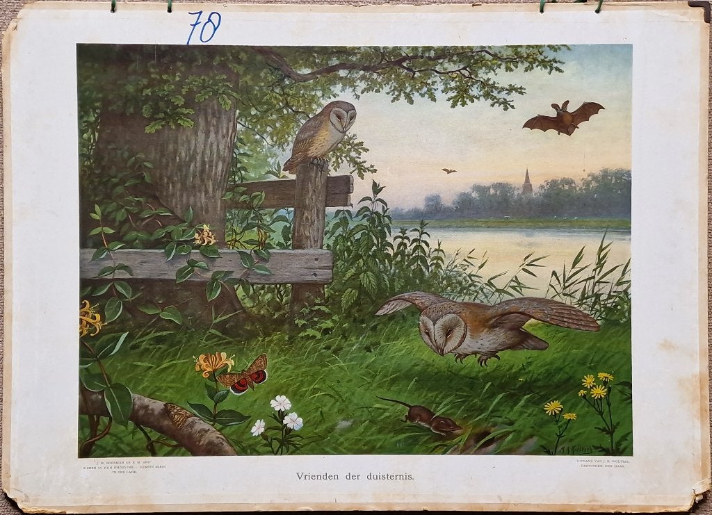 Vrienden der duisternis / M.A. Koekkoek, Ophalen, Geschiedenis