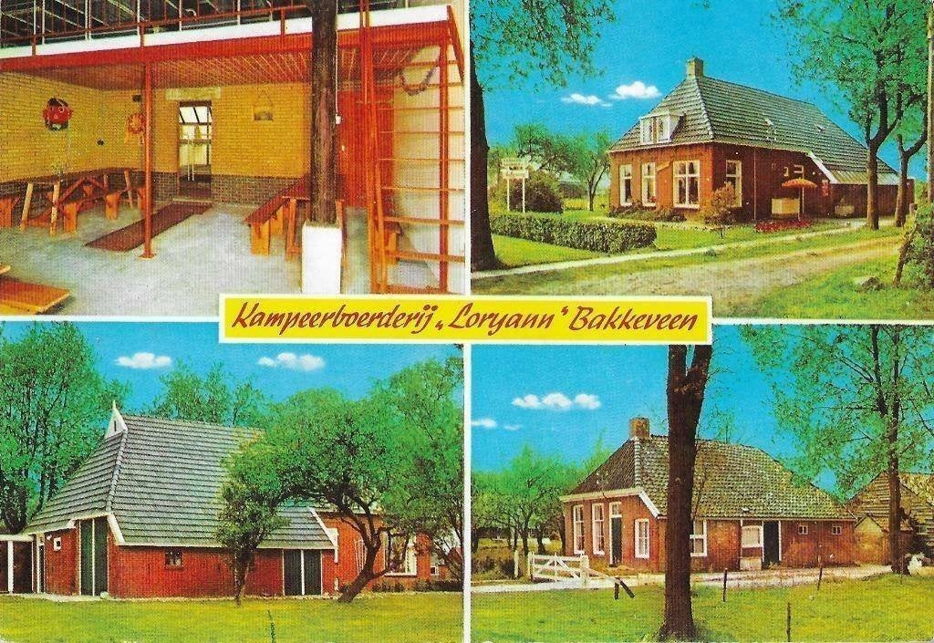 AK Bakkeveen - Kampeerboerderij "Loryann", Verzenden, 1960 tot 1980, Ongelopen, Noord-Holland