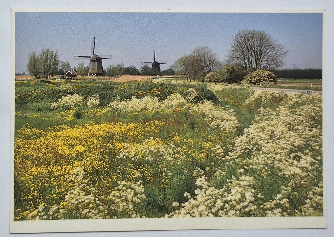 Oterleek  - Rustenburg ( N.H.) Molens L & K, Verzenden, 1980 tot heden, Ongelopen, Noord-Holland