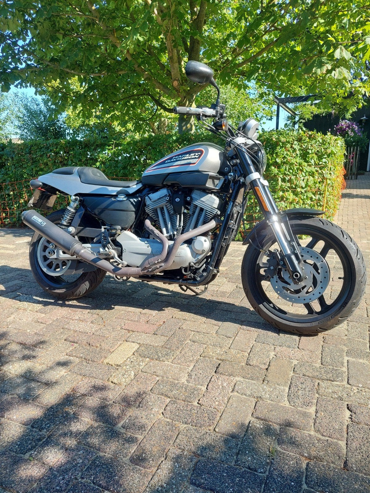 Harley Davidson XR1200 Sportster, Motoren, Motoren | Harley-Davidson, Particulier, Chopper, Ophalen of Verzenden