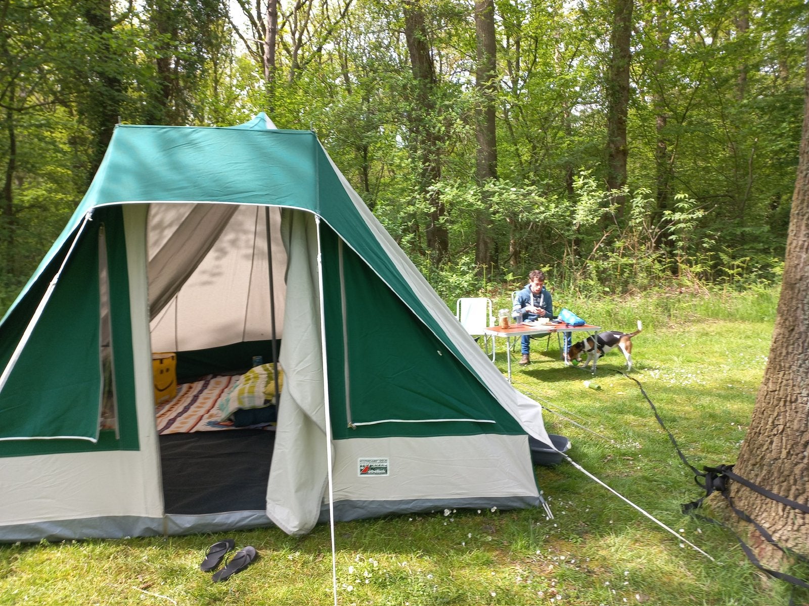 Leuke 2-4 persoons tent, Ophalen, Gebruikt, Tot en met 4