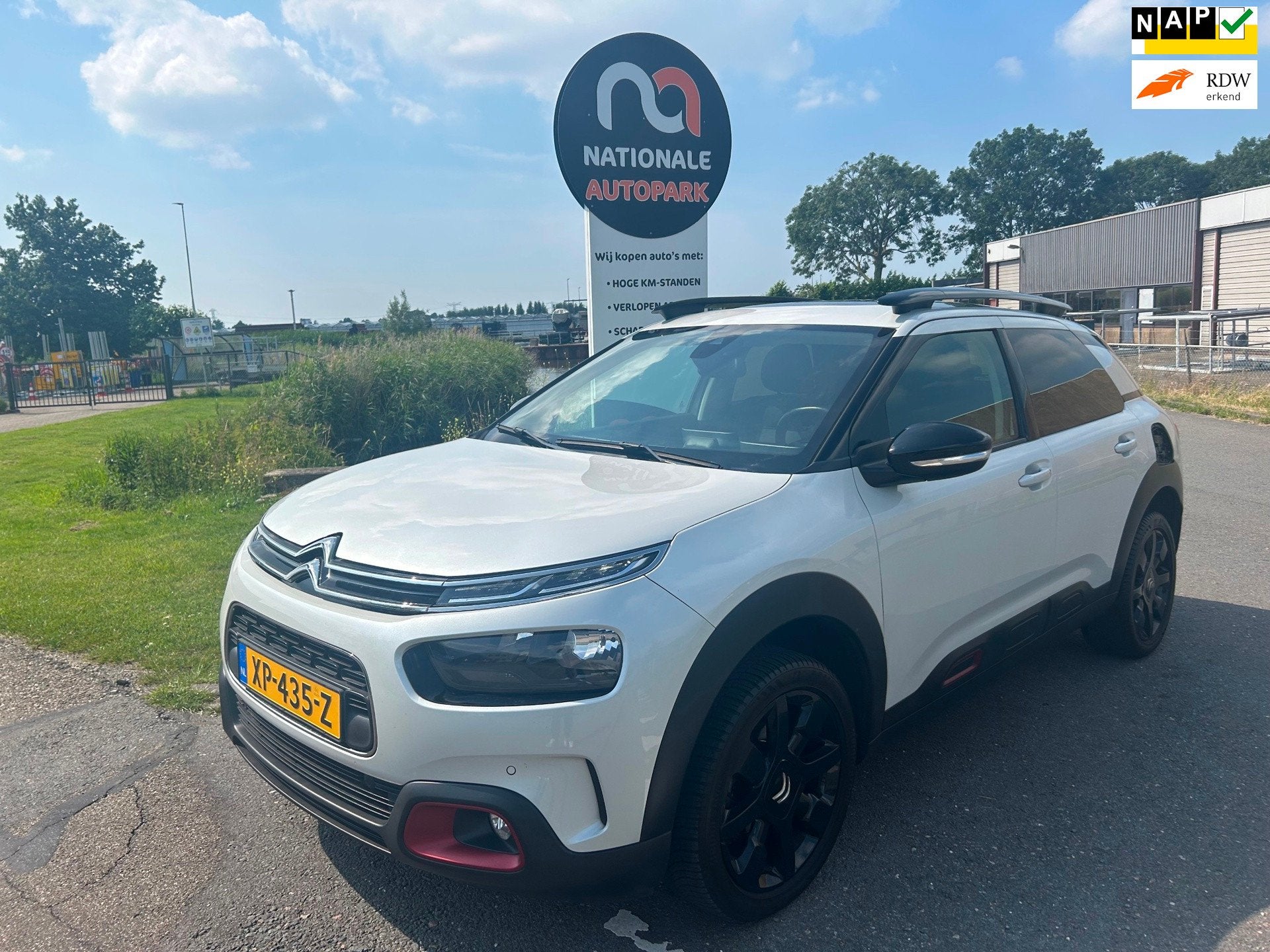 Citroen C4 Cactus | 2019 | 1.2 PureTech Shine | Automaat | E, Auto's, Gebruikt, Euro 6, Origineel Nederlands, Bedrijf