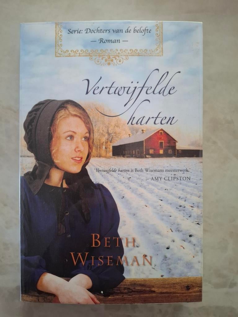 Vertwijfelde Harten - Beth Wiseman (Dochters van de belofte), Boeken, Ophalen of Verzenden, Zo goed als nieuw, Beth Wiseman, Nederland