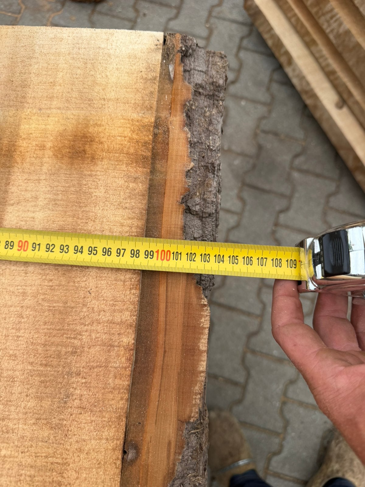 Zeer grote boomstam bladen 310x95/100x7 cm, Ophalen, Zo goed als nieuw, 250 cm of meer, Planken