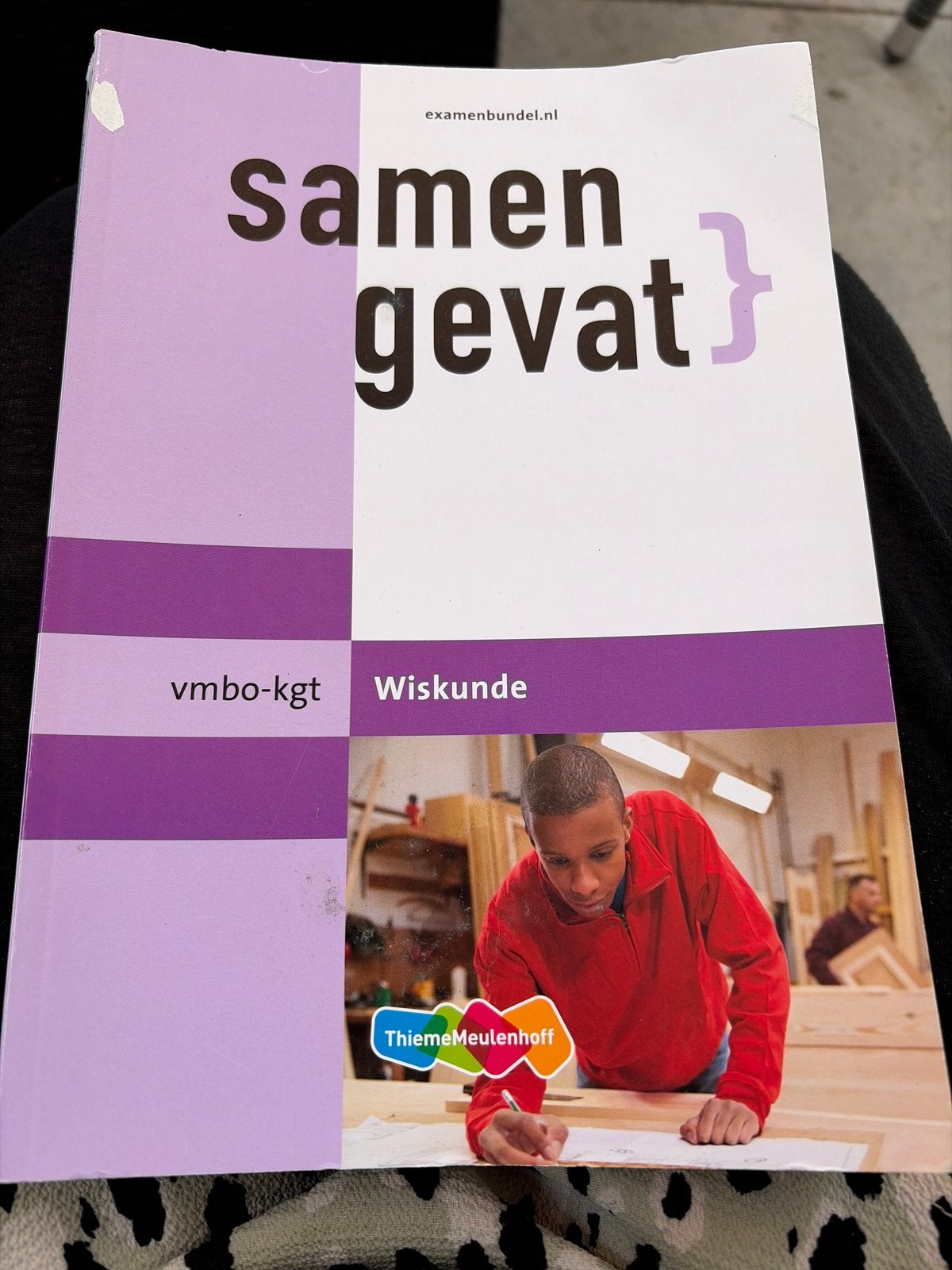 Examenbundel Samengevat Wiskunde VMBO-KGT, Boeken, Schoolboeken, Ophalen of Verzenden, Gelezen, VMBO, Wiskunde A