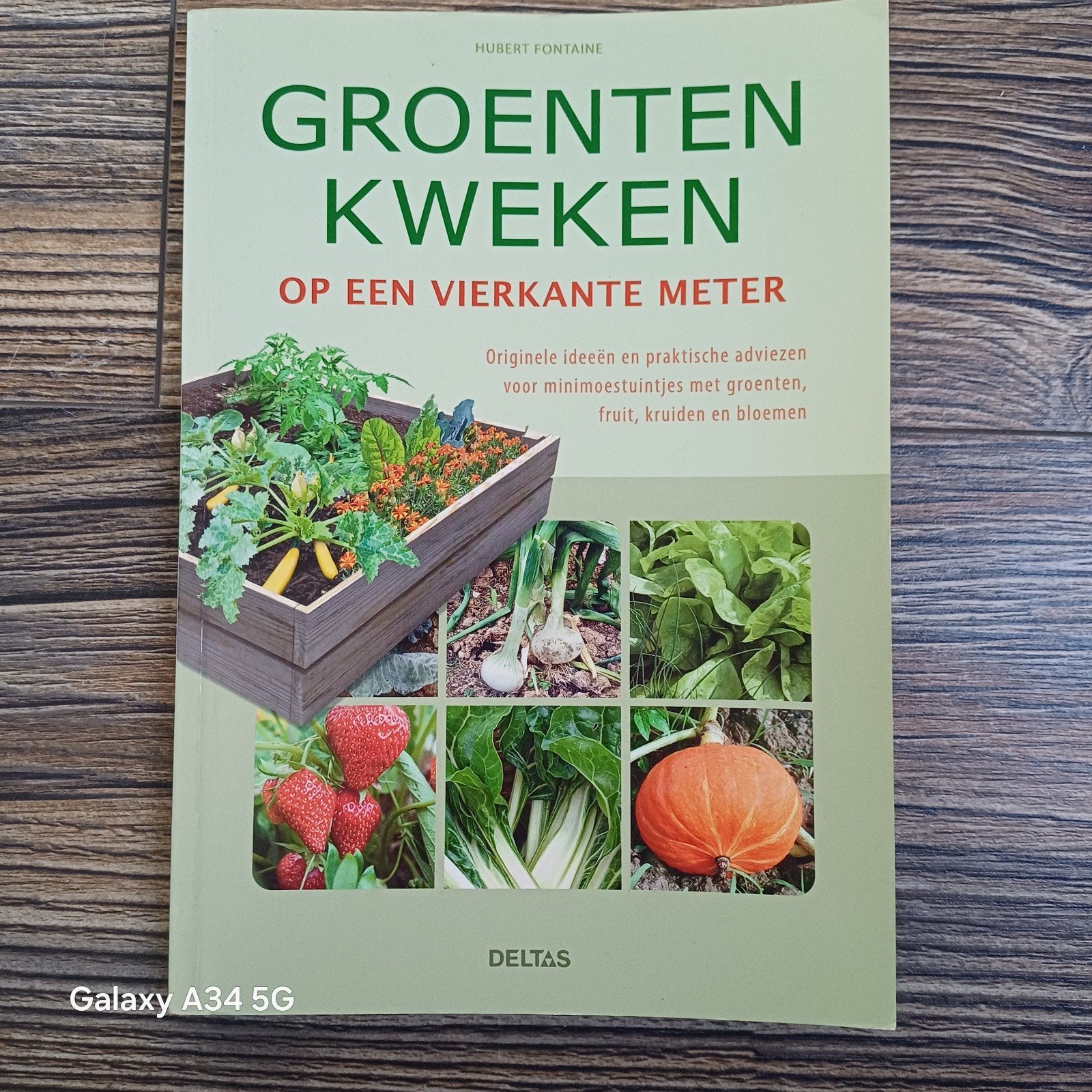 Groenten Kweken op een Vierkante Meter - Hubert Fontaine, Ophalen of Verzenden, Zo goed als nieuw, Hubert Fontaine, Moestuin