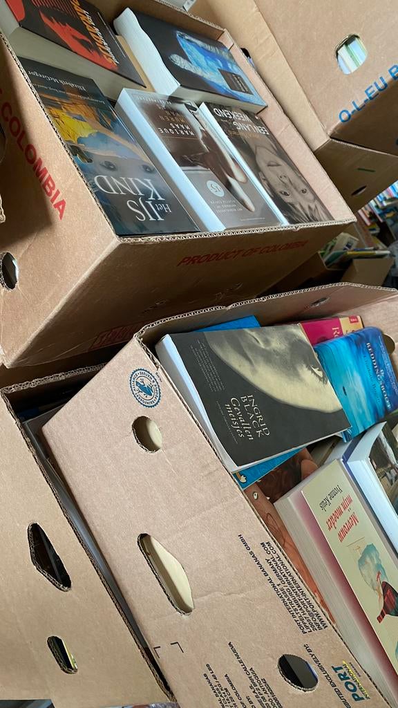 Grote partij boeken! 30 dozen! Romans thrillers enz., Ophalen, Zo goed als nieuw, Verschillende onderwerpen
