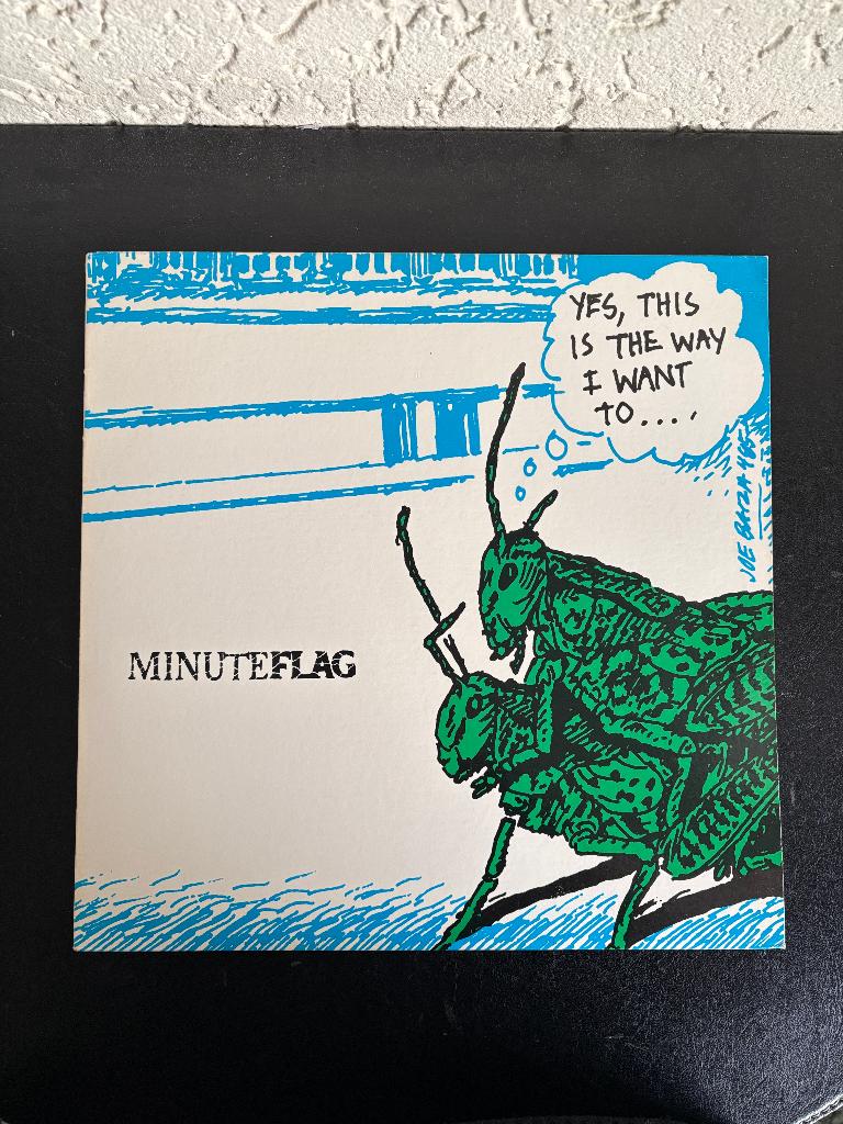 MinuteFlag - 1986 - Amerikaanse persing (Black Flag), Ophalen of Verzenden, Gebruikt, 12 inch