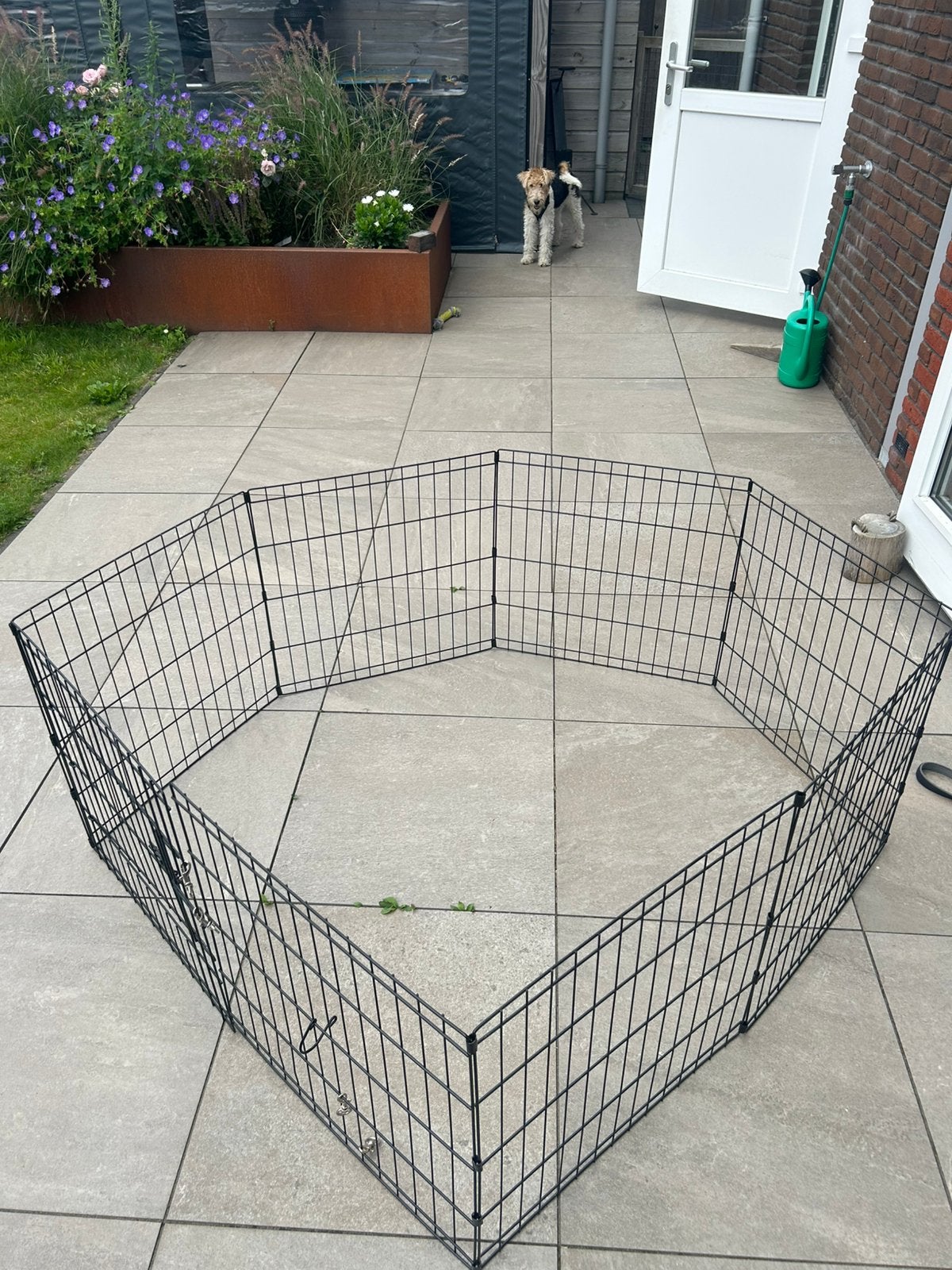 Adori puppyren, Dieren en Toebehoren, Minder dan 60 cm, 110 cm of meer, Ophalen of Verzenden, Zo goed als nieuw