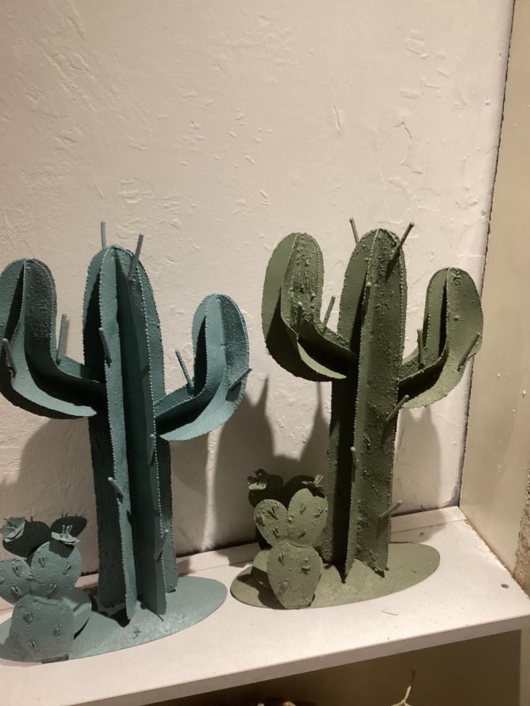 Cactussen, Ophalen, Gebruikt