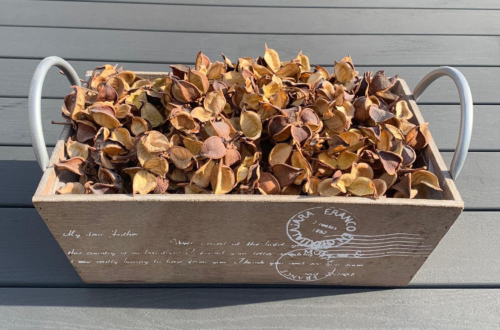 Houten decoratieve kist/doos gedroogde katoenpeulen, herfst, Ophalen of Verzenden, Zo goed als nieuw, Bruin, Hout