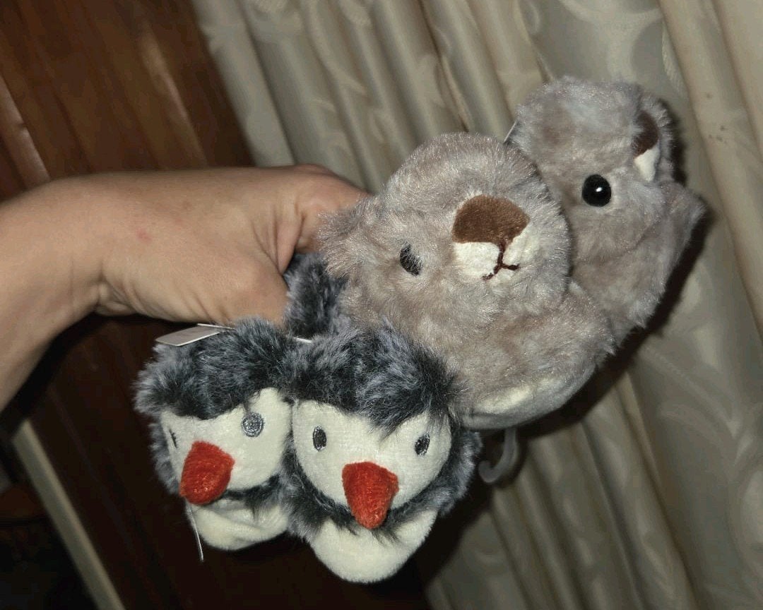 te schattige baby slofjes eekhoorn,Pinguin&konijntje 16t/m21, Ophalen of Verzenden, Jongetje of Meisje, Slofjes