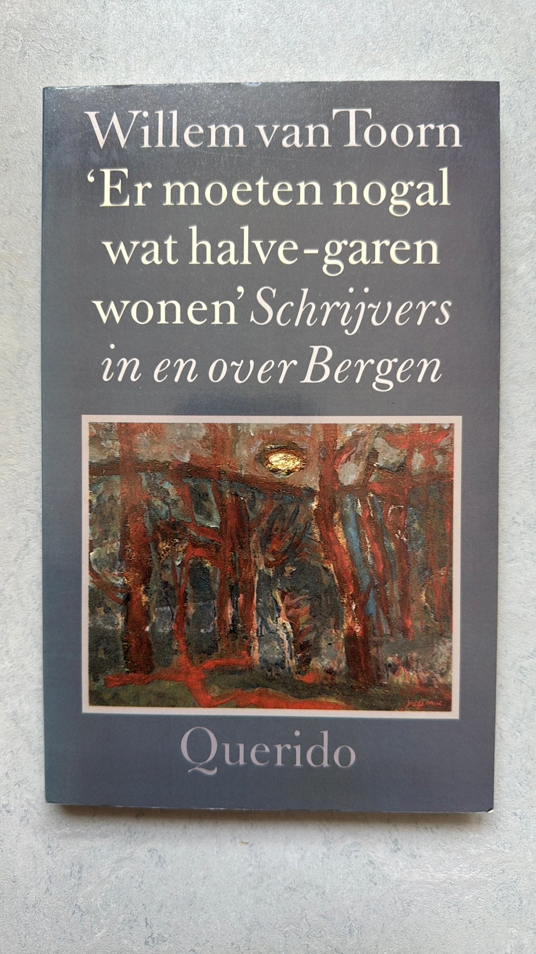 Willem van Toorn Er moeten nogal wat halve-garen wonen, Boeken, Ophalen of Verzenden, Zo goed als nieuw