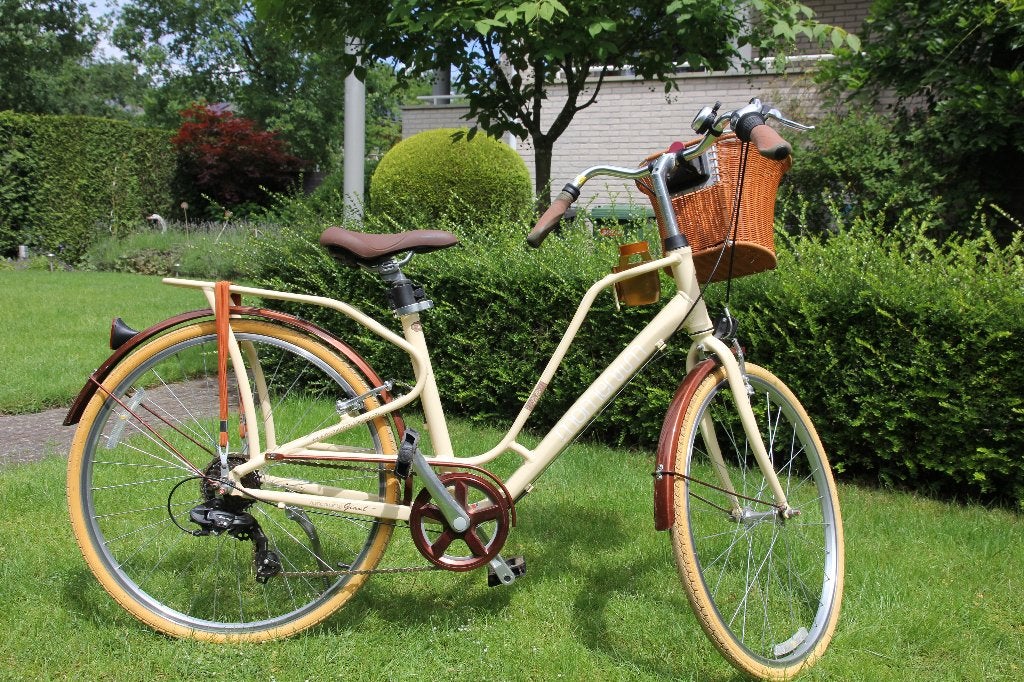 Giant Momentum Café Lifestyle Damesfiets met Mandje, Ophalen, Gebruikt, Velgrem, Versnellingen
