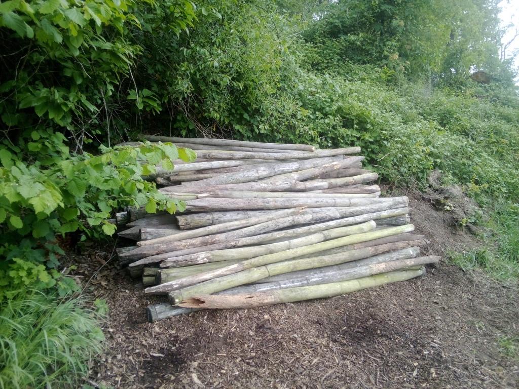 gratis brandhout, Minder dan 3 m³, Ophalen, Overige houtsoorten, Stammen