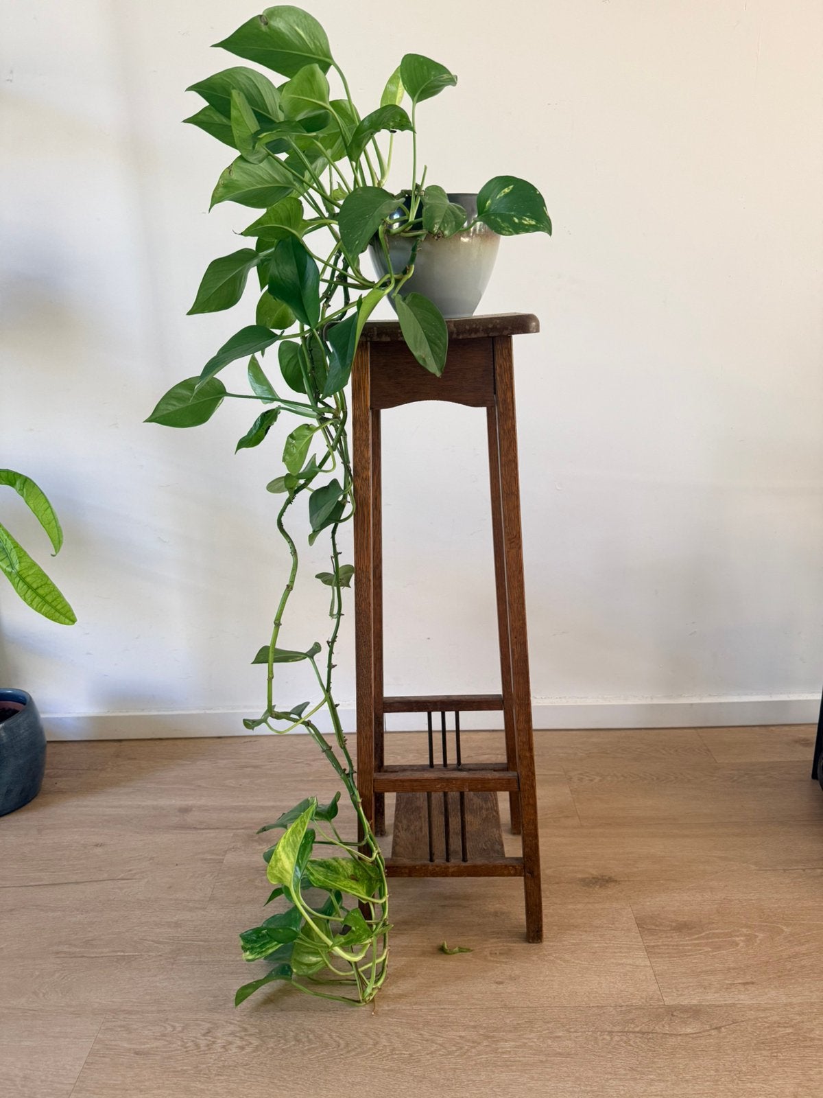 Plantenstandaard hout, Ophalen, Gebruikt