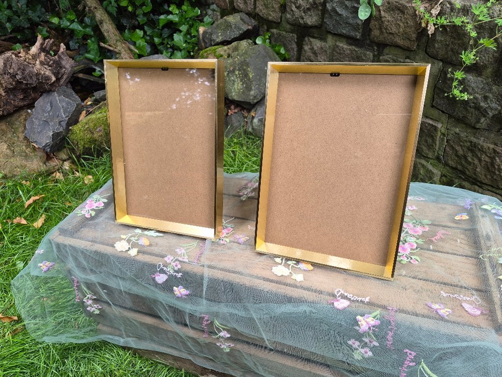 2 goudkleurige fotolijsten, Audio, Tv en Foto, Fotografie | Fotolijsten, Standaard fotolijst, Ophalen of Verzenden, Goud, Portrait en Landscape