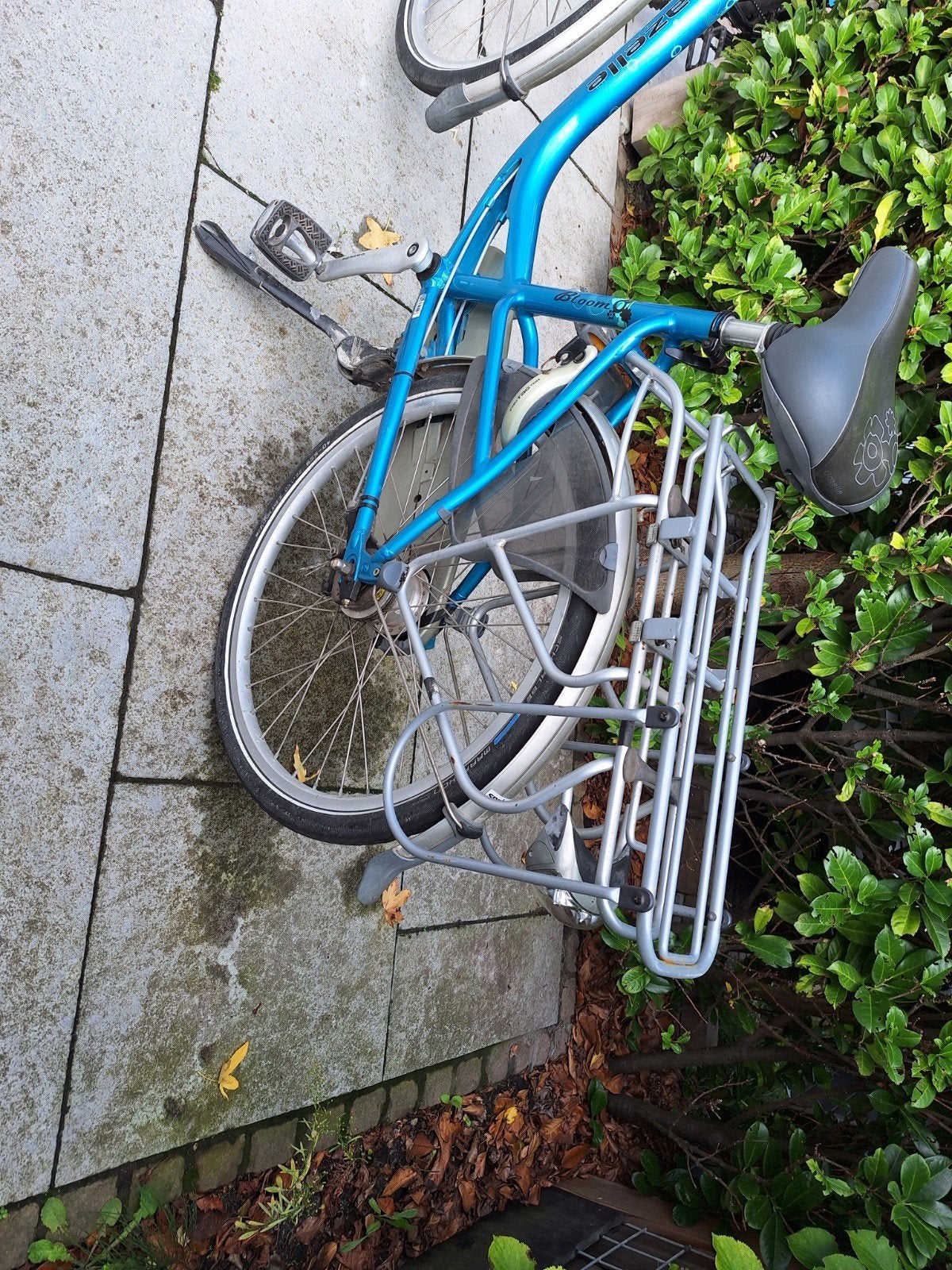 Foto 5 van Gazelle Bloom moederfiets