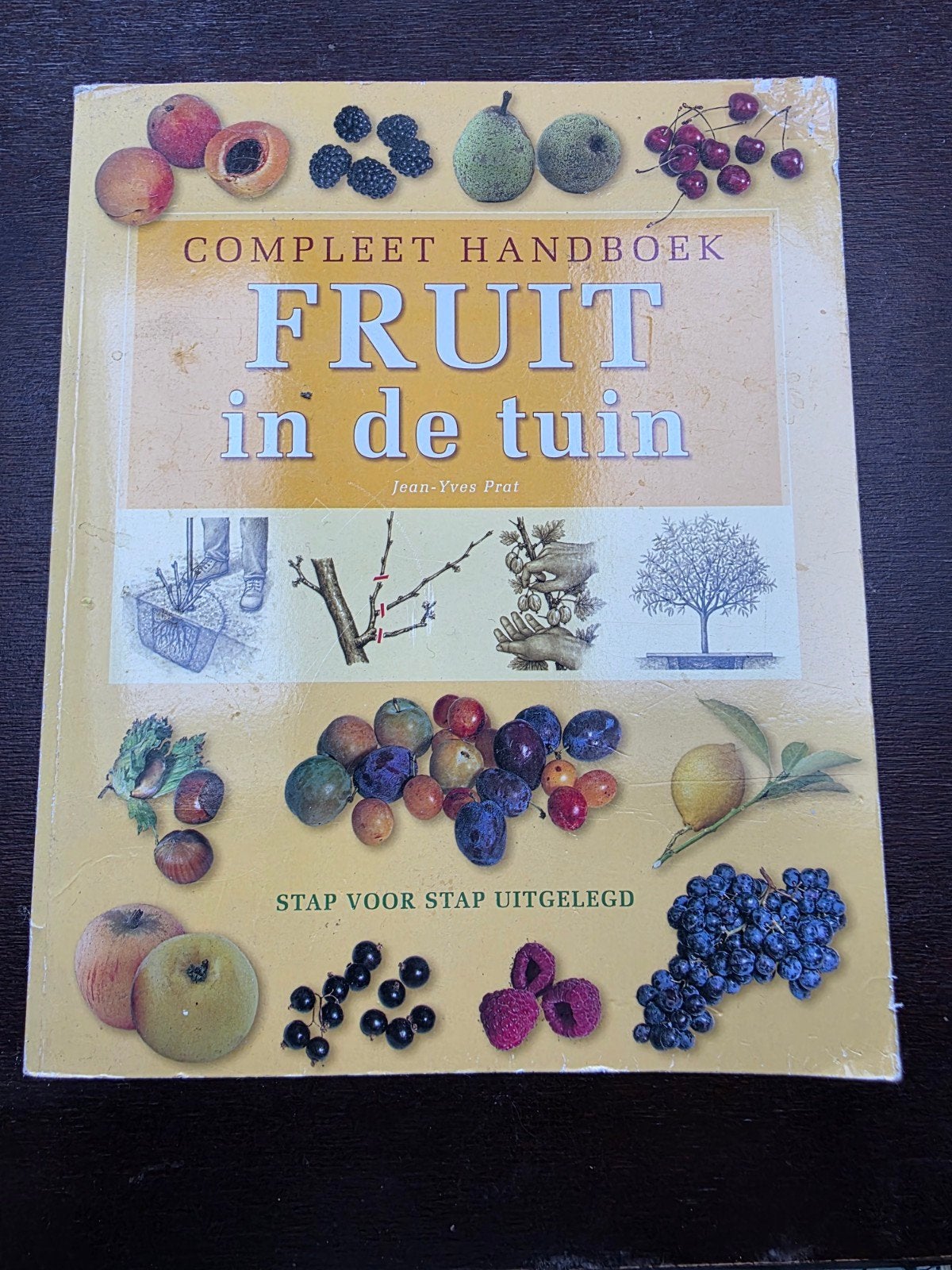 Compleet handboek fruit in de tuin - Jean-Yves Prat, Ophalen of Verzenden, Zo goed als nieuw, Jean-Yves Prat, Tuinieren en Tuinplanten