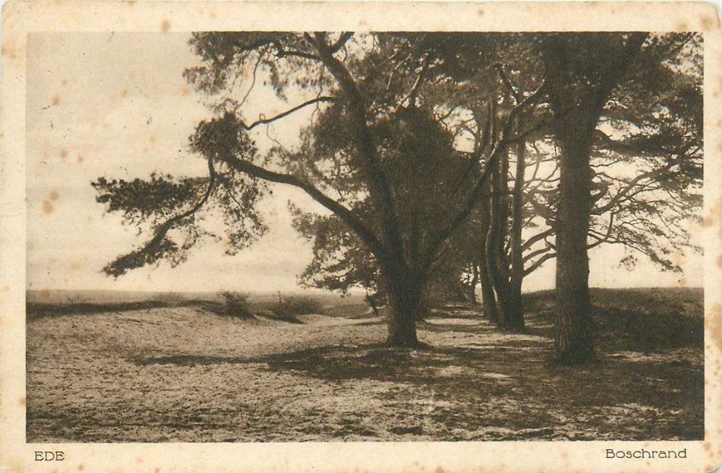 701-139-053 Ede Boschrand, Verzamelen, Ansichtkaarten | Nederland, Verzenden, Voor 1920, Gelderland