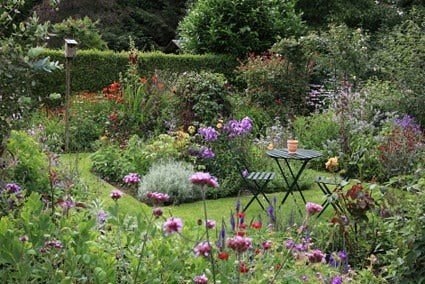 🌻 Scheijbeeck Tuinadvies 🌻En snoeiwerk 🌻, Ophalen, Nieuw, 20 m² of meer