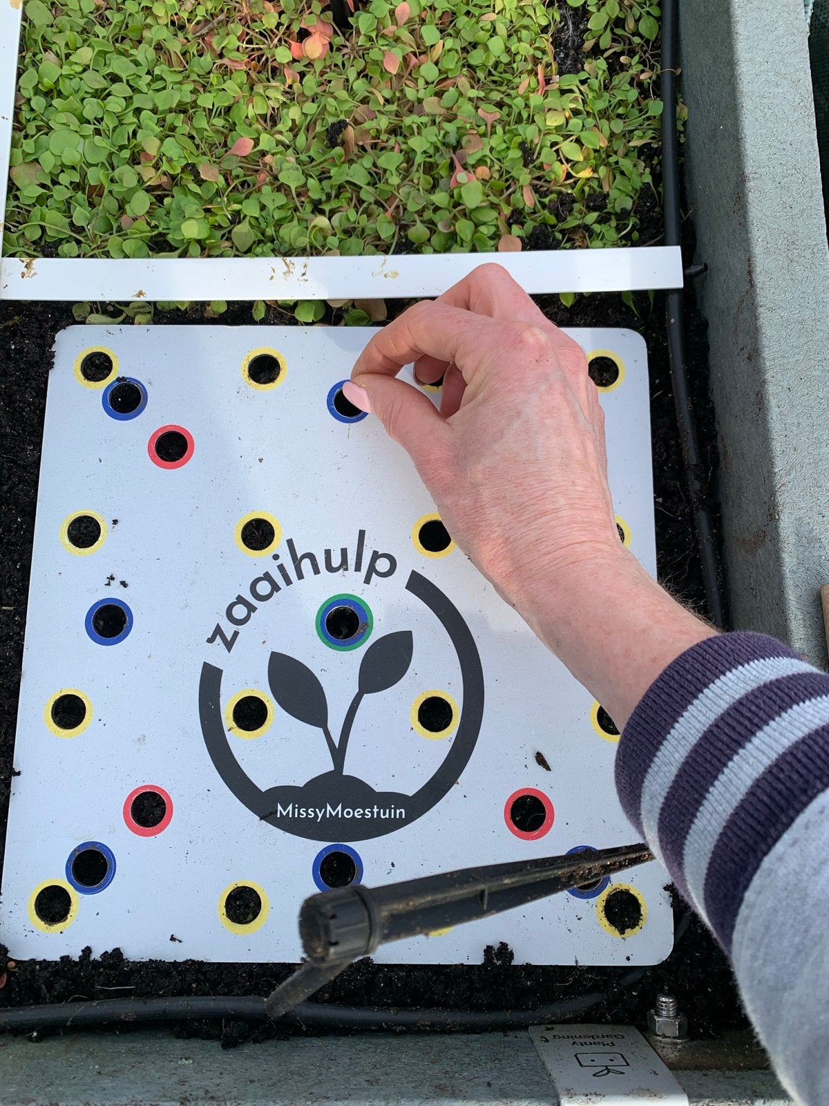 Zaaibord voor Moestuin - Eenvoudig en Efficiënt Zaaien, Ophalen of Verzenden, Nieuw