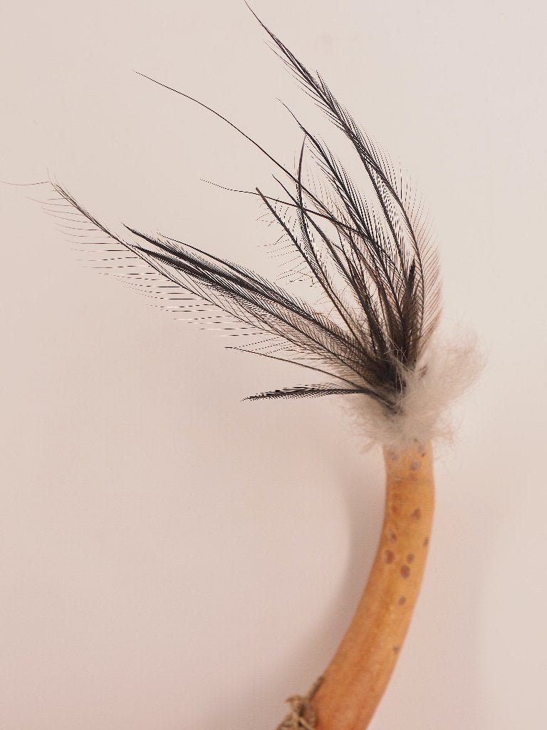 Versierde Koteka (Peniskoker) Papua Nieuw Guinea (251212-02), Handgemaakt, Natuurlijk materiaal, Overige typen, Papoea-Nieuw-Guinea