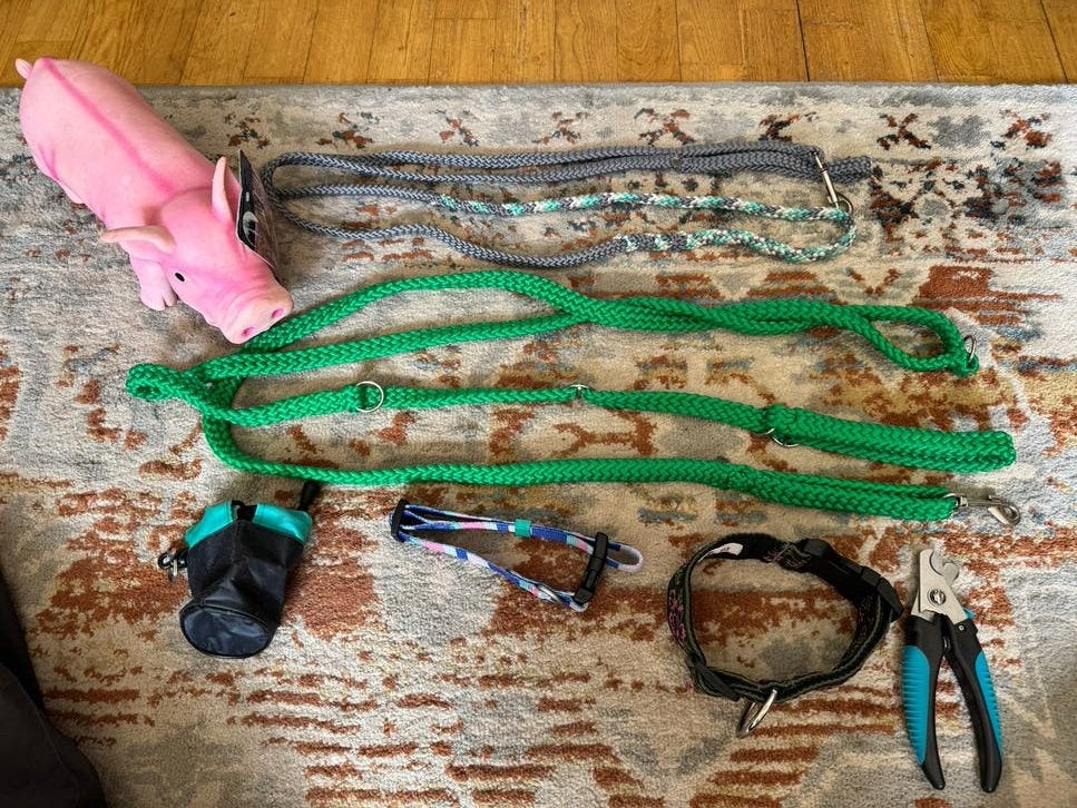 Honden accessoires: looplijn. Halsband. Nagelknipper. Speel., Ophalen of Verzenden, Zo goed als nieuw