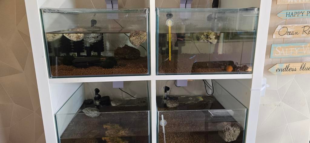 Aquarium bakken Ikea Kallax, Ophalen, Leeg aquarium