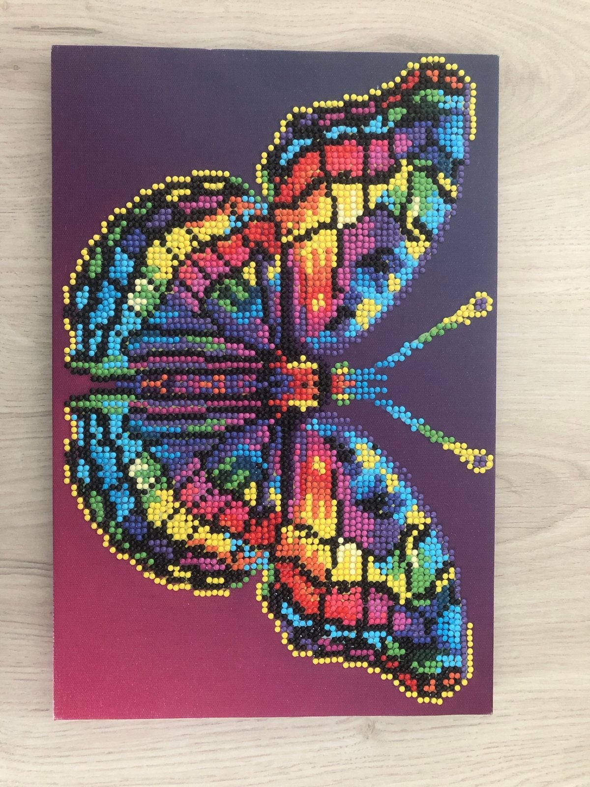 Kleurrijke vlinder diamond painting op canvas, Minder dan 50 cm, Overige typen, Ophalen of Verzenden, Zo goed als nieuw