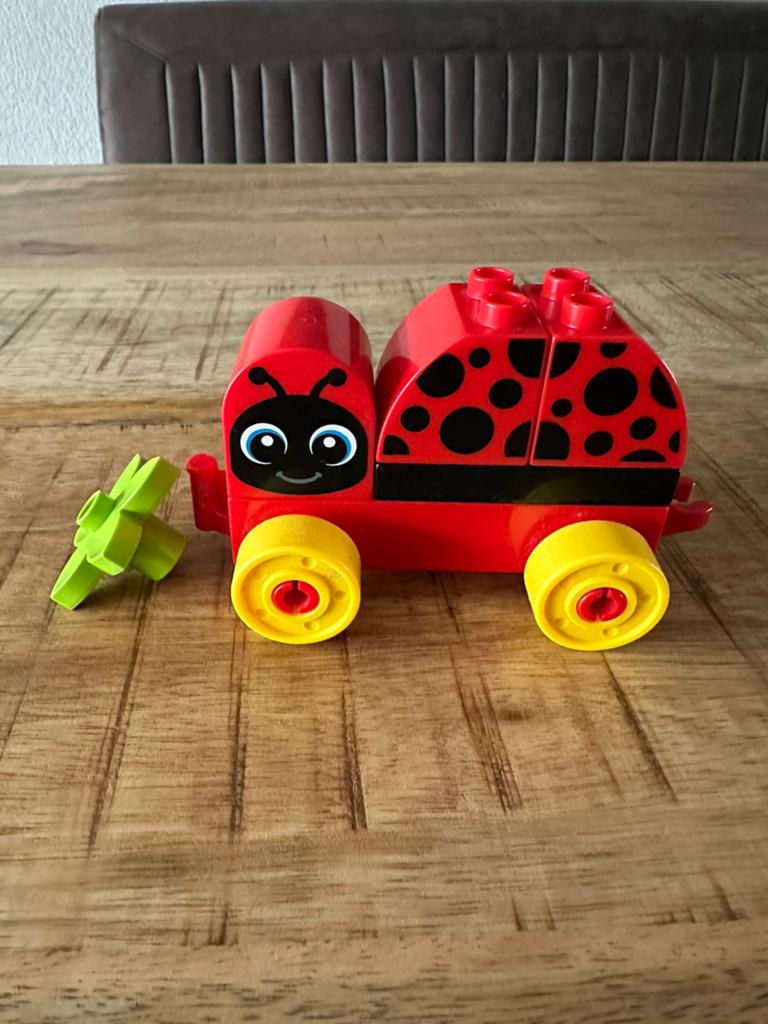 Mijn eerste lieveheersbeestje, Ophalen of Verzenden, Zo goed als nieuw, Duplo