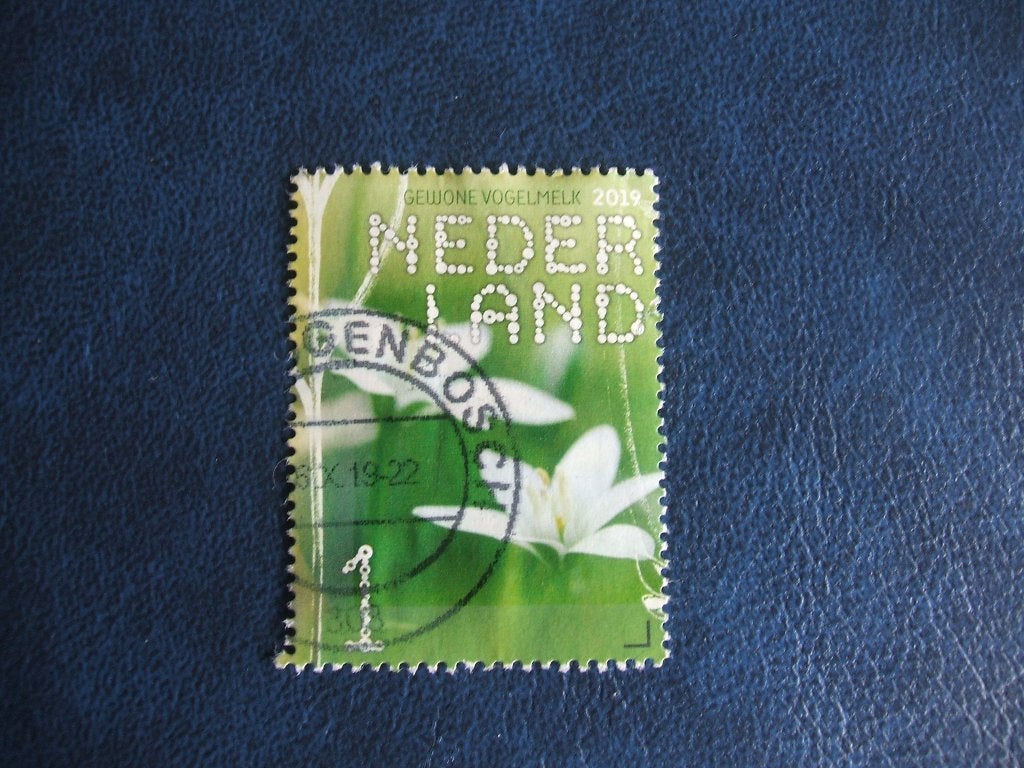 Nederland 5, Ophalen of Verzenden, Na 1940, Gestempeld