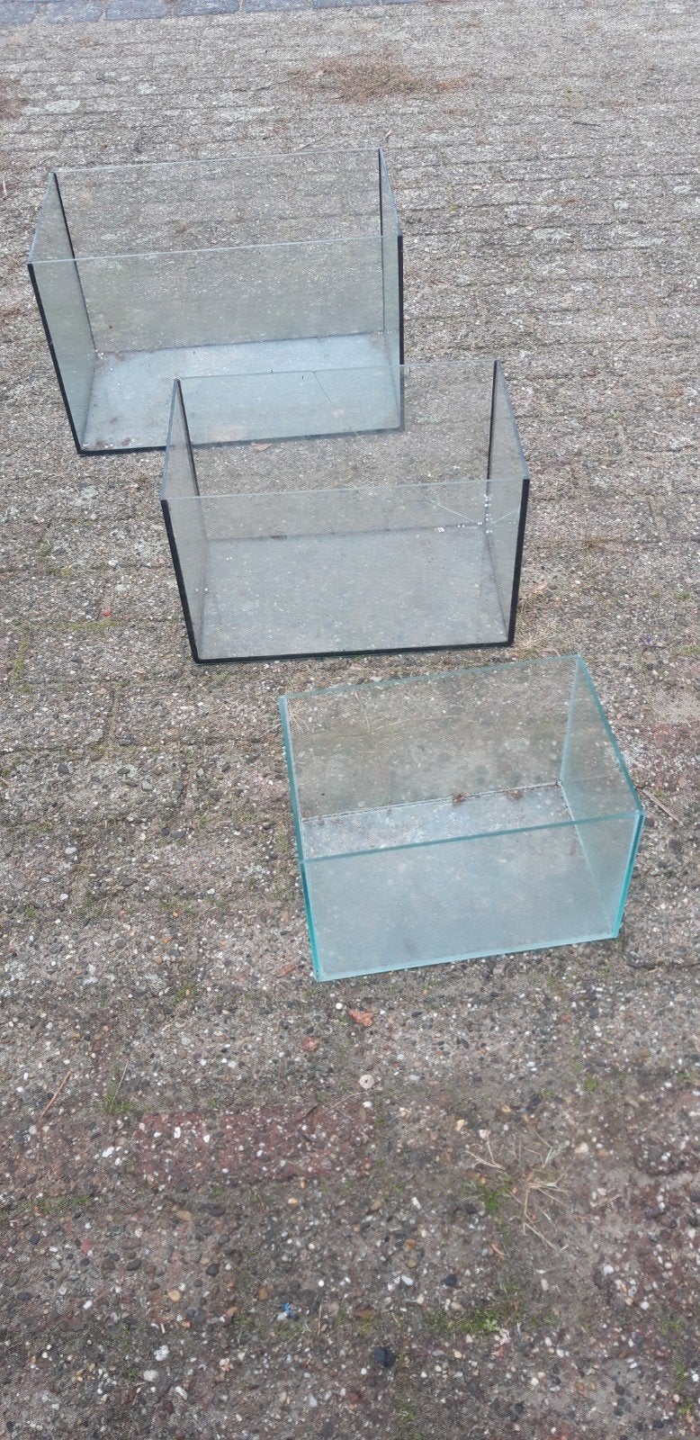 Glazen bakken voor planten of Terrarium, Ophalen, Gebruikt