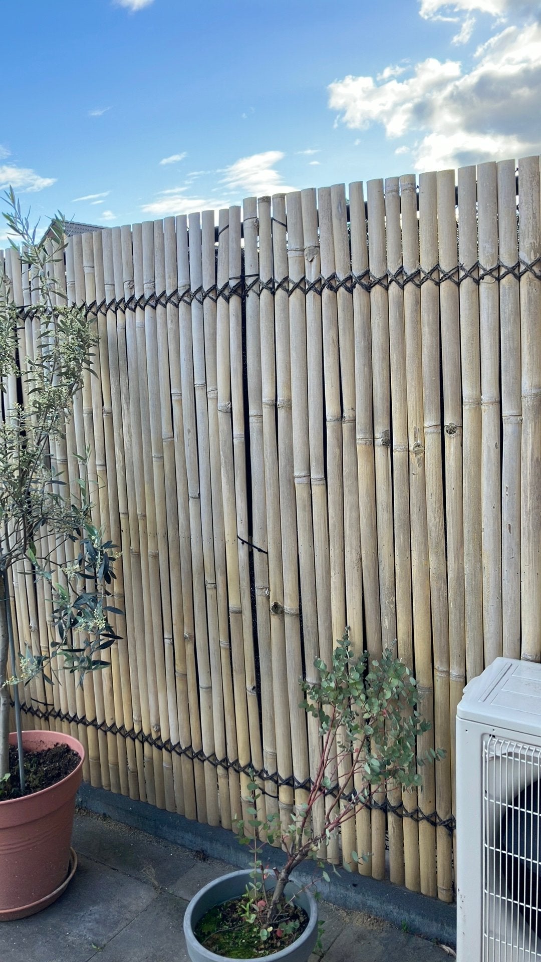 Bamboo gratis ophalen zelf verwijderen 12 m x 1,90 m, Tuin en Terras, Schuttingen, Ophalen, Minder dan 3 meter, Hout, 1 tot 2 meter
