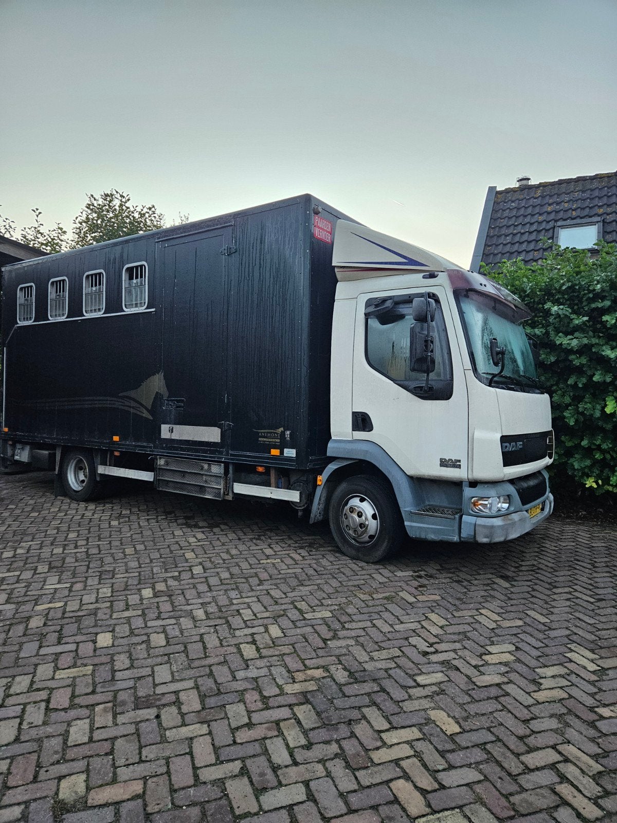 paardevrachtwagen, 4 paarden, Auto's, Wit, Bedrijf, DAF, Te koop