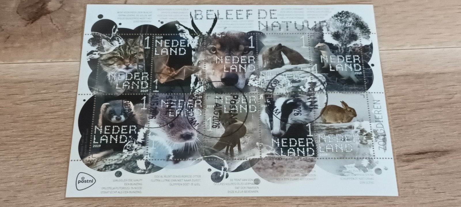 PRACHTIG VELLETJE BELEEF DE NATUUR GESTEMPELD OP PAPIER, Ophalen of Verzenden