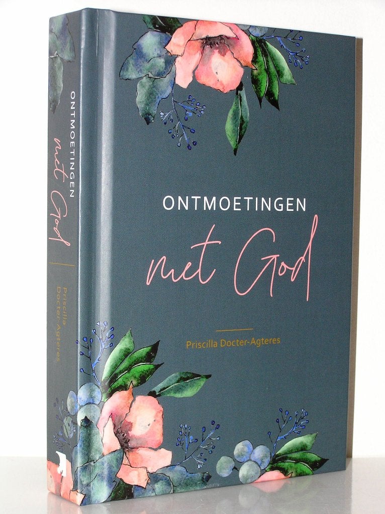 Priscilla Docter-Agteres - Ontmoetingen met God, Ophalen of Verzenden, Nieuw, Christendom | Katholiek