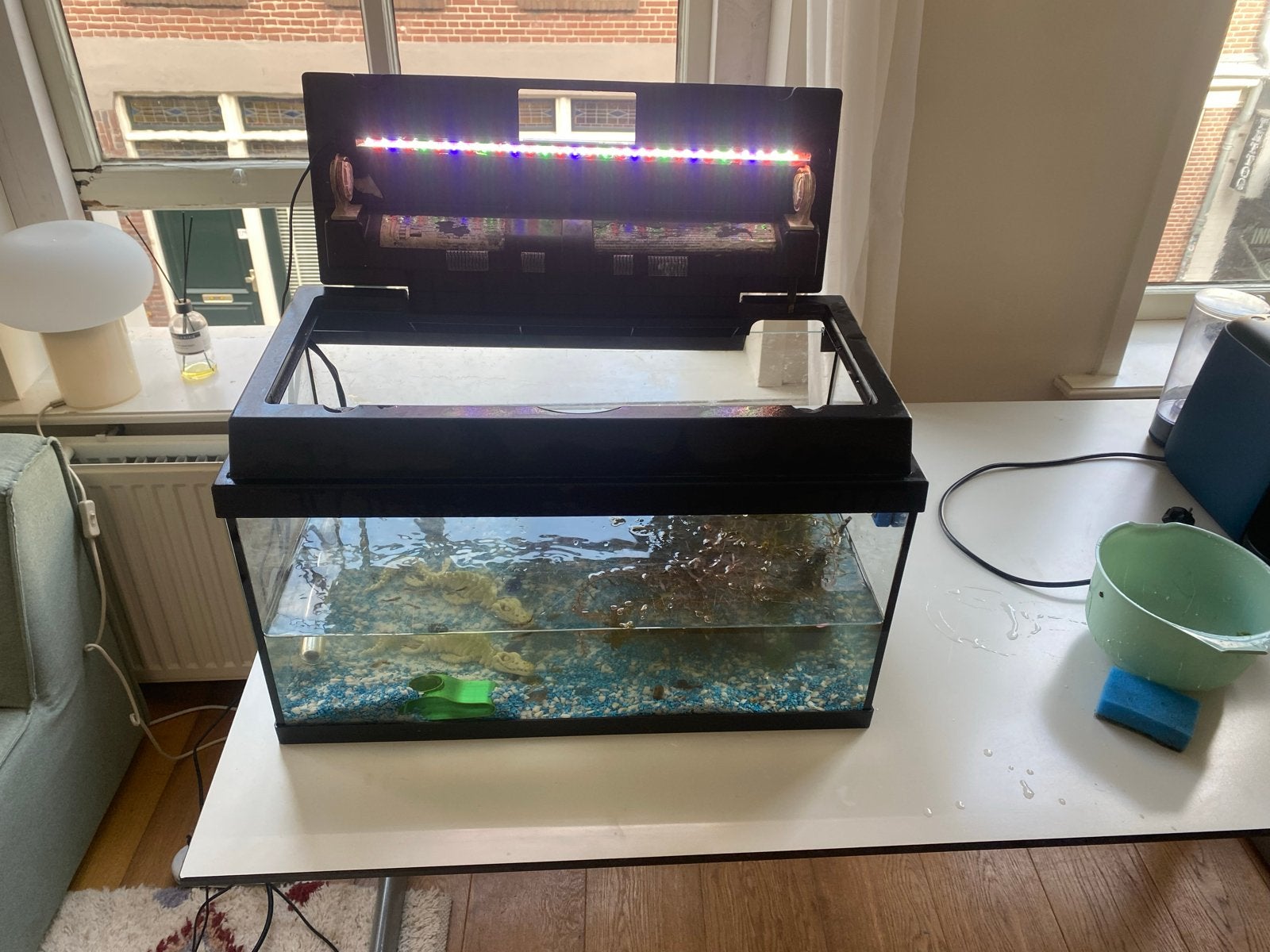 Aquarium (60x30x30) inclusief apparatuur, guppies en planten, Ophalen