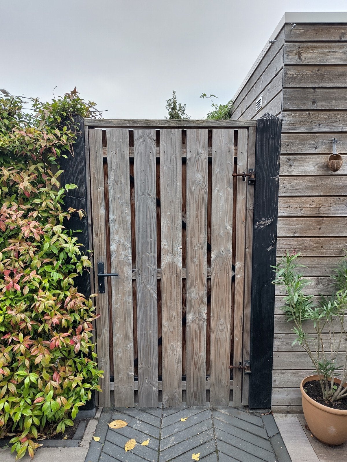 Douglas tuinpoort met hang- en sluitwerk, Tuin en Terras, Ophalen, Hout, Draaipoort, 150 tot 200 cm