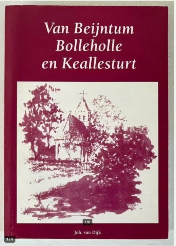 Van Beijntum Bolleholle en Keallesturt - (gesigneerd), Ophalen of Verzenden, Zo goed als nieuw
