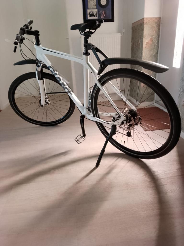 Giant Roam XR2 Hybride , Wit , Large , Nieuwstaat., Ophalen, Zo goed als nieuw, Giant, Versnellingen