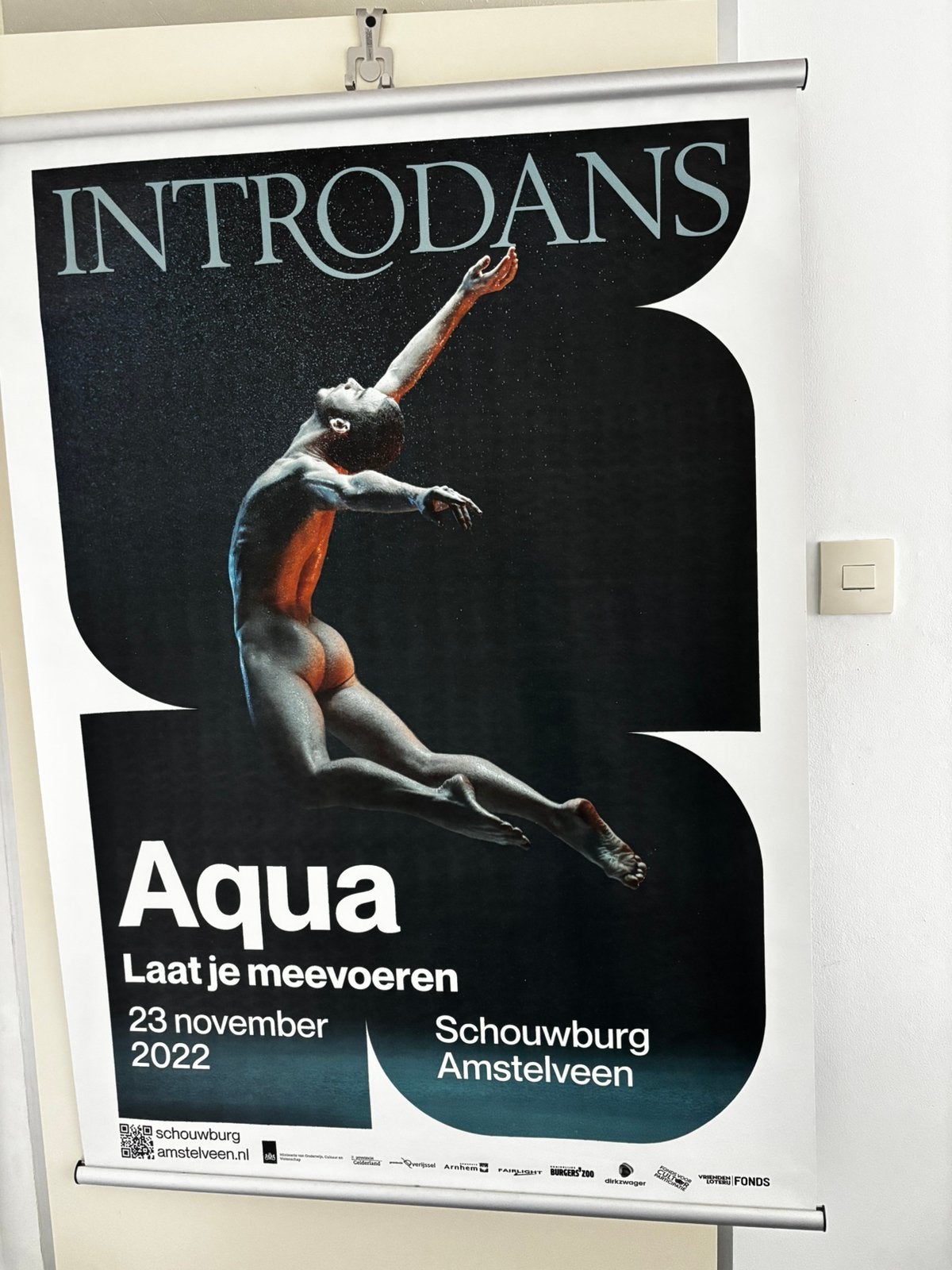 Poster Introdans (83x120)  - Erwin Olaf, Rechthoekig Staand, Deurposter of groter, Ophalen of Verzenden, Zo goed als nieuw