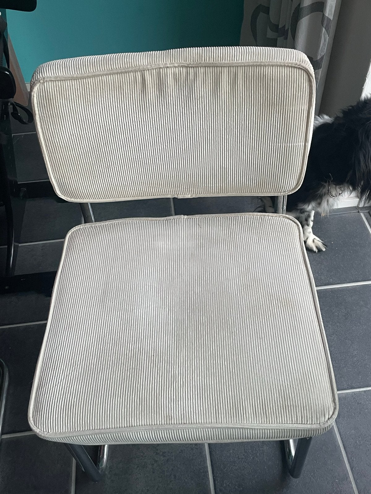 Comfortabele stoelen met metalen frame, Ophalen, Gebruikt, Twee, Overige kleuren