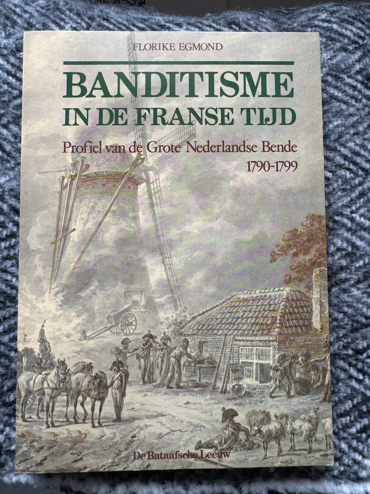Banditisme in de Franse Tijd - Florike Egmond, Boeken, Ophalen, 20e eeuw of later, Zo goed als nieuw