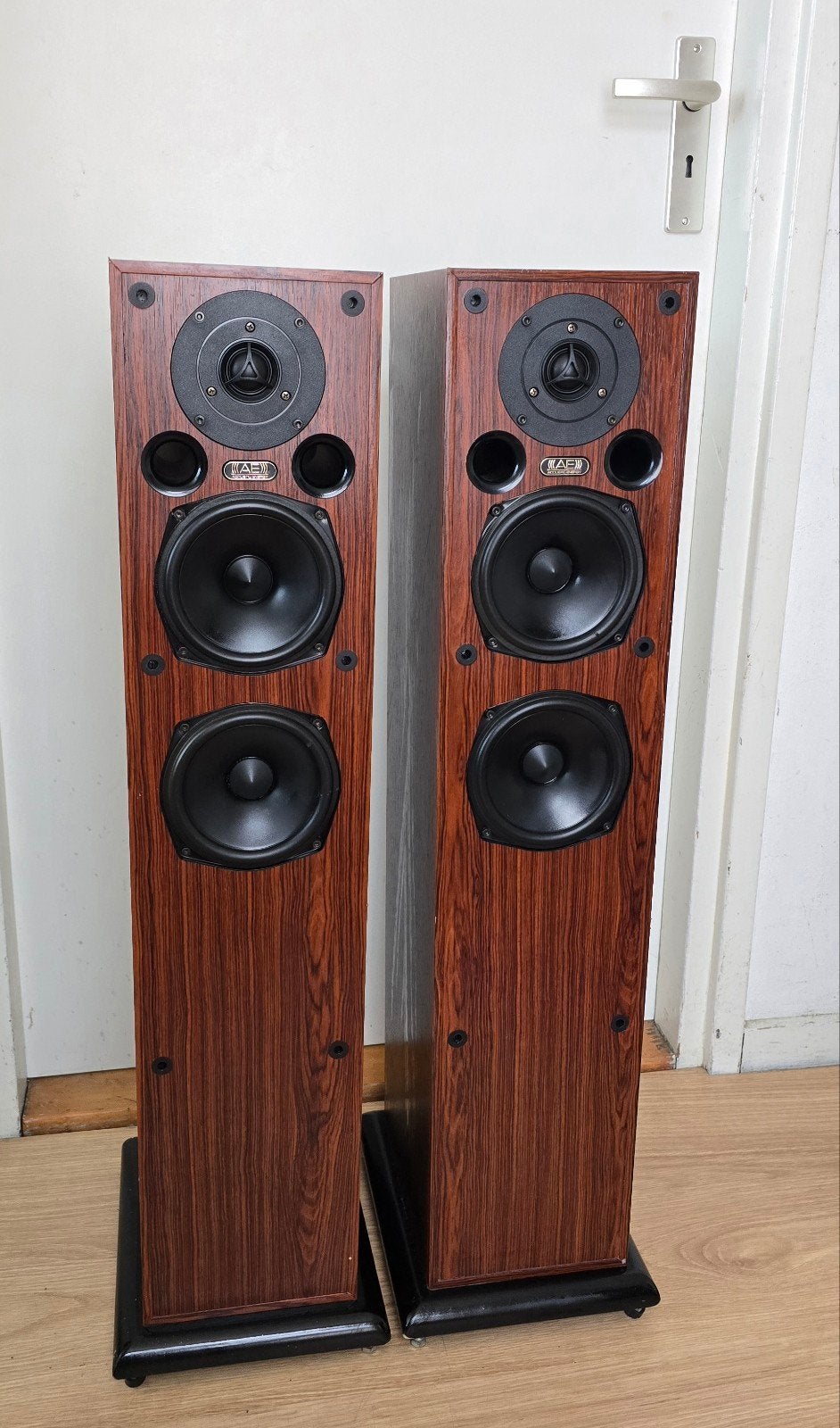 Acoustic Energy AE109 Vloerstaande 35kg🪝
