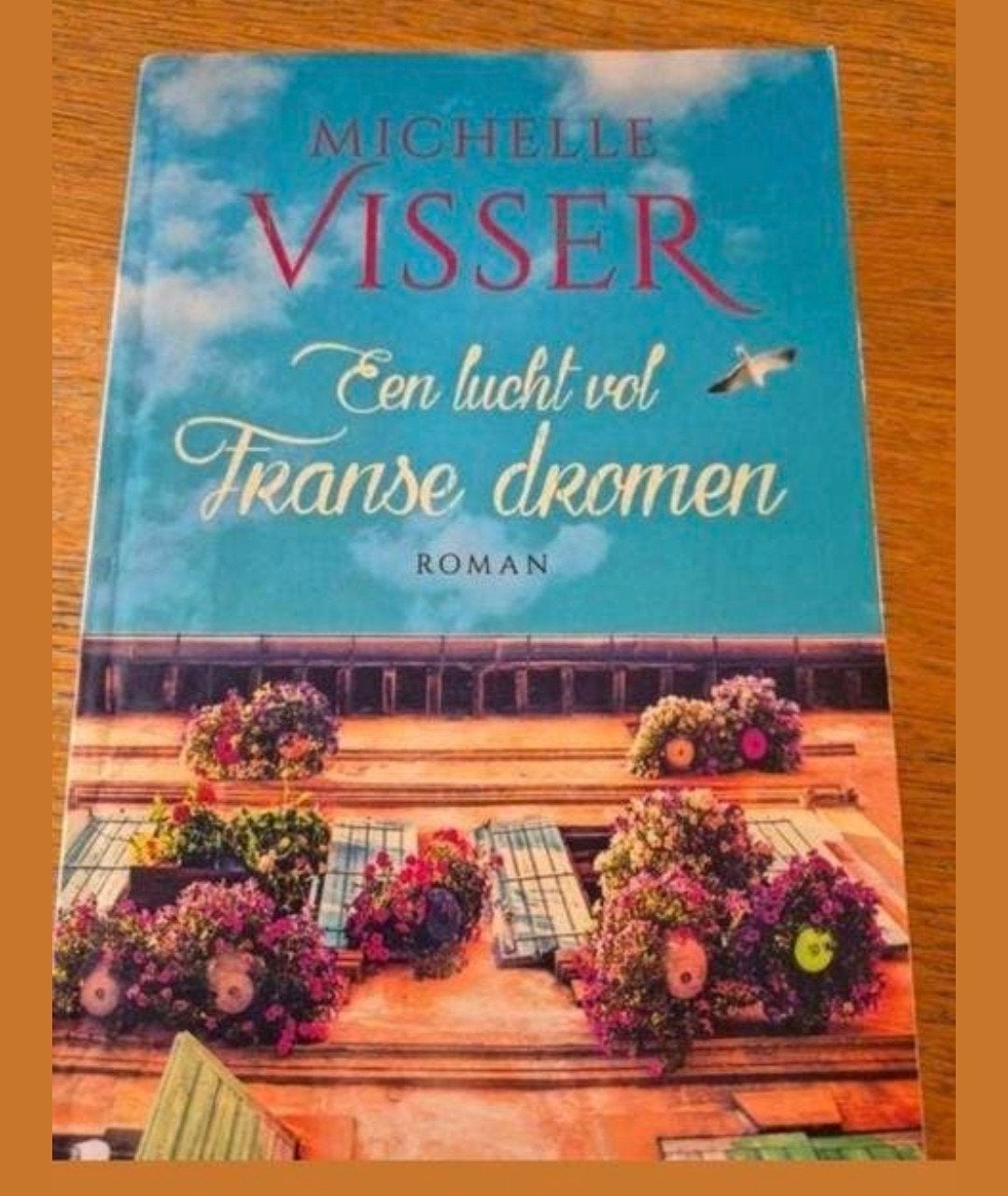 een lucht vol Franse dromen Michelle Visser, Boeken, Ophalen of Verzenden, Gelezen